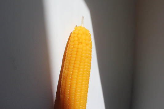 Sweet Maíz Beeswax Candle Set