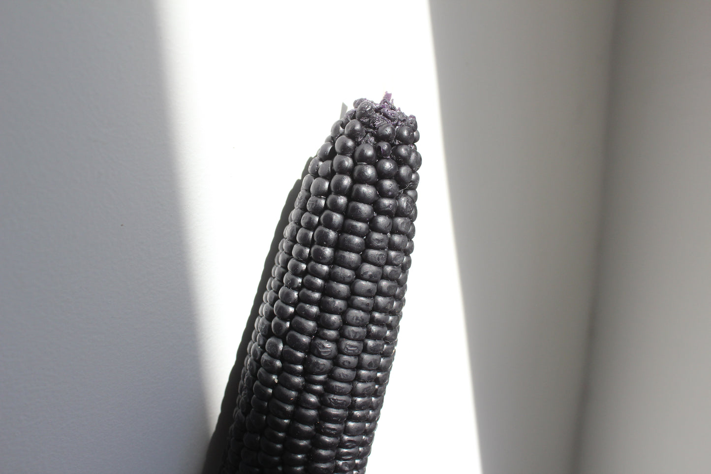 Blackberry - Harvest Table Bundle Beeswax Candles