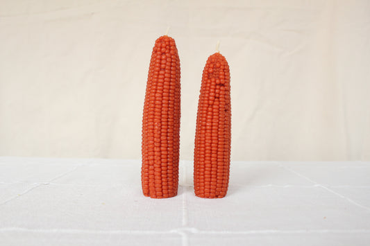 Maple Leaf Maíz Beeswax Candle Set