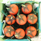 Orange Cherry Tomato Beeswax Birthday Candles 8-count