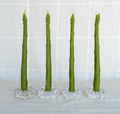 Asparagus Beeswax Taper Candles — Set of 4