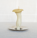King Oyster Mushroom Beeswax Candle