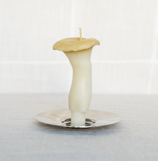 King Oyster Mushroom Beeswax Candle