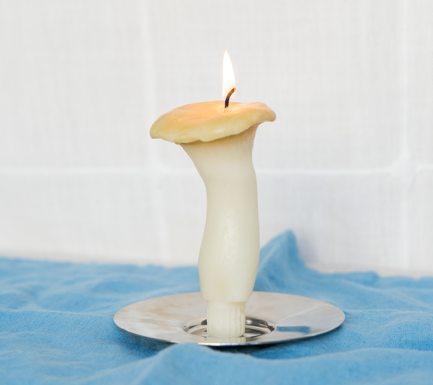 King Oyster Mushroom Beeswax Candle