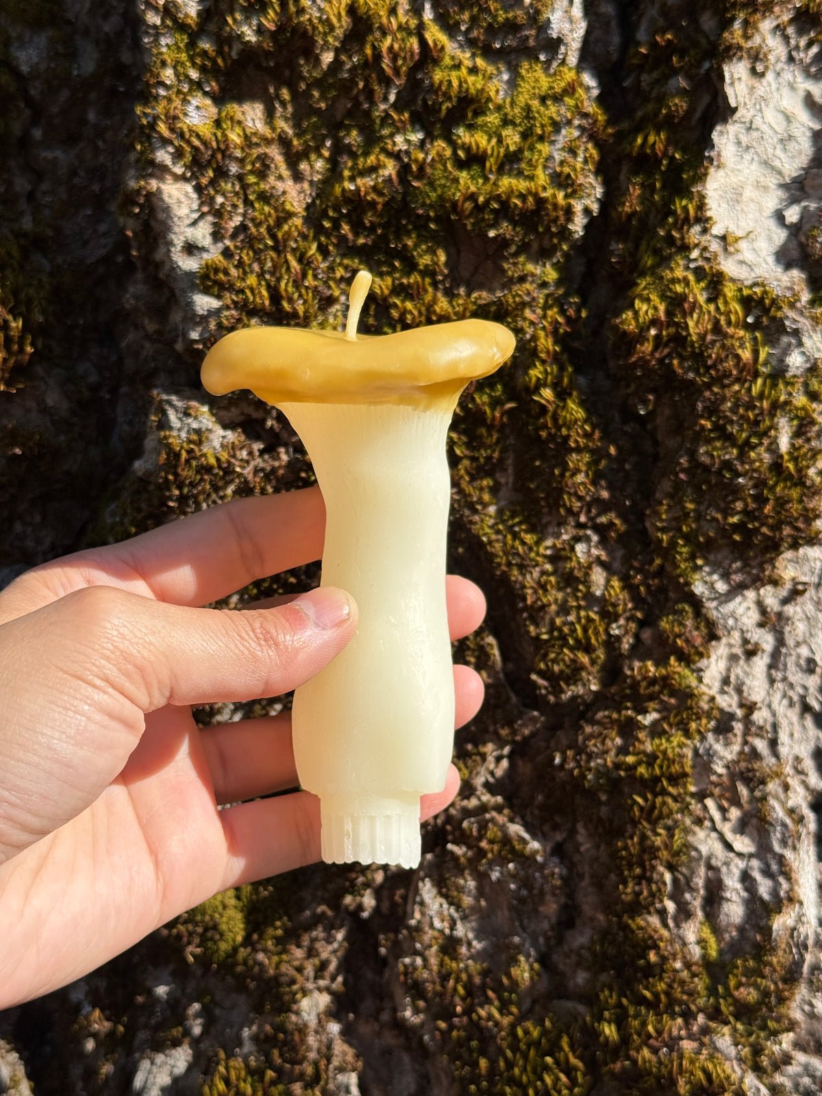 King Oyster Mushroom Beeswax Candle