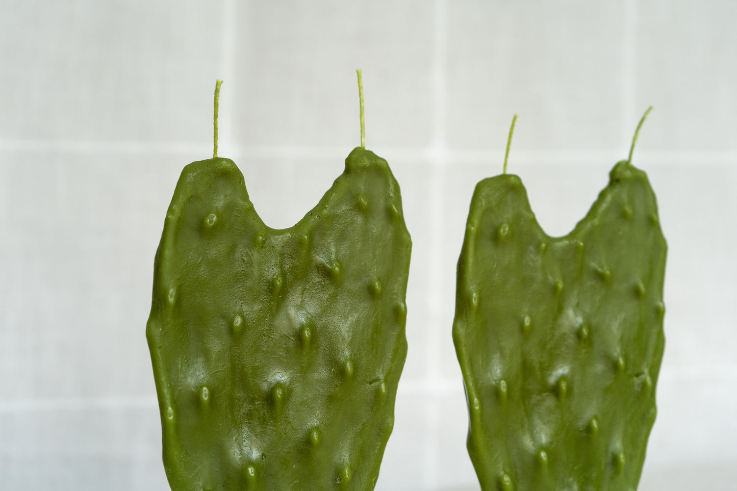 Heart Nopal Cactus Beeswax Candle - Set of 2