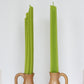 CELERY TAPER BEESWAX CANDLES - SET OF 2