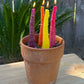 RAINBOW CARROT TAPER BEESWAX CANDLE - SET OF 2