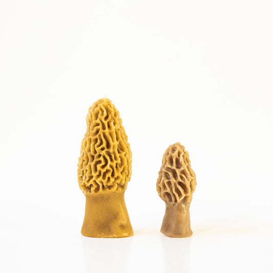 Morel Mushroom Beeswax Candle 2-pack - Happy Organics