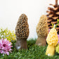 Morel Mushroom Beeswax Candle 2-pack - Happy Organics