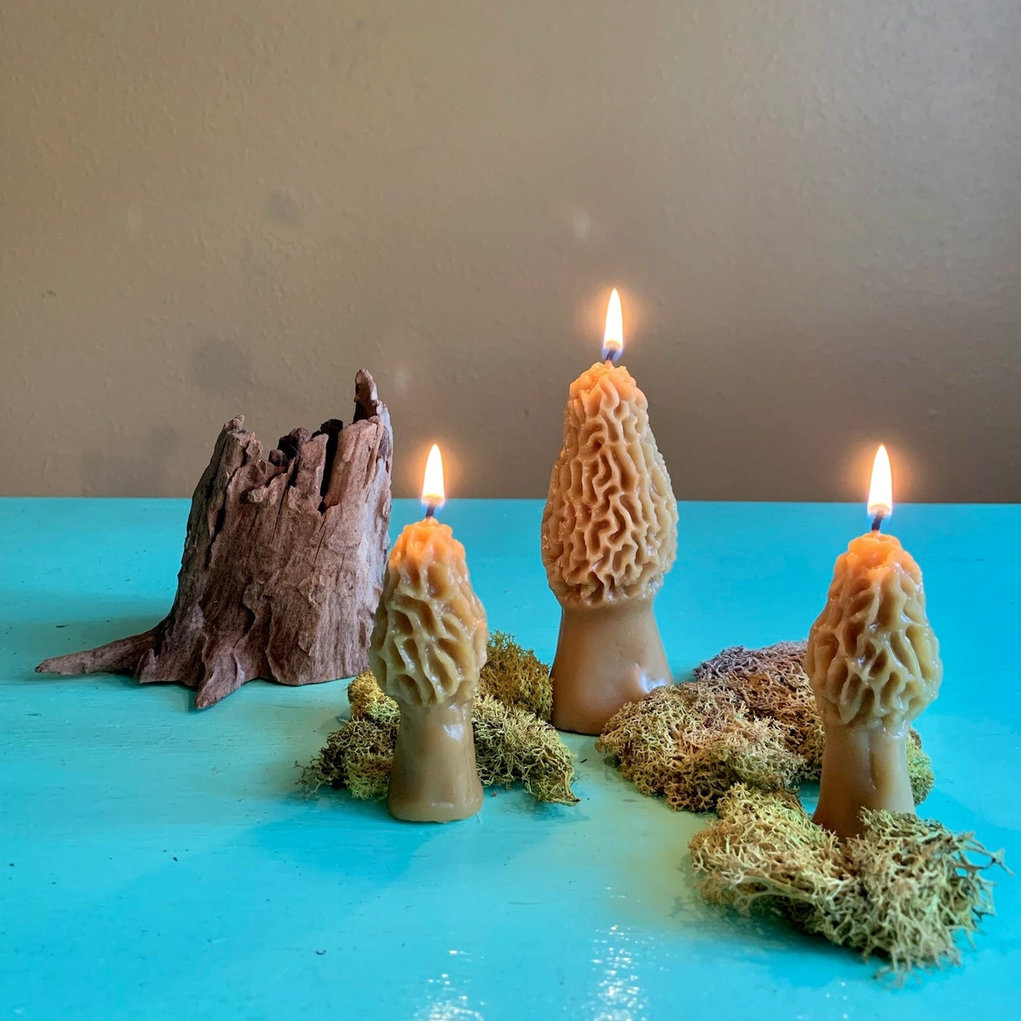 Morel Mushroom Beeswax Candle 2-pack - Happy Organics